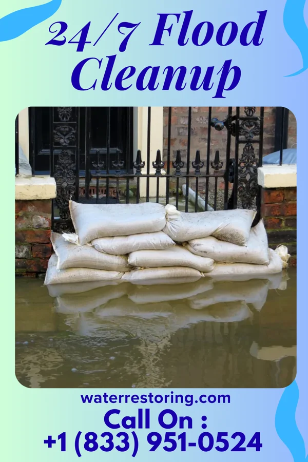24/7 Flood Cleanup in Belgium, IL