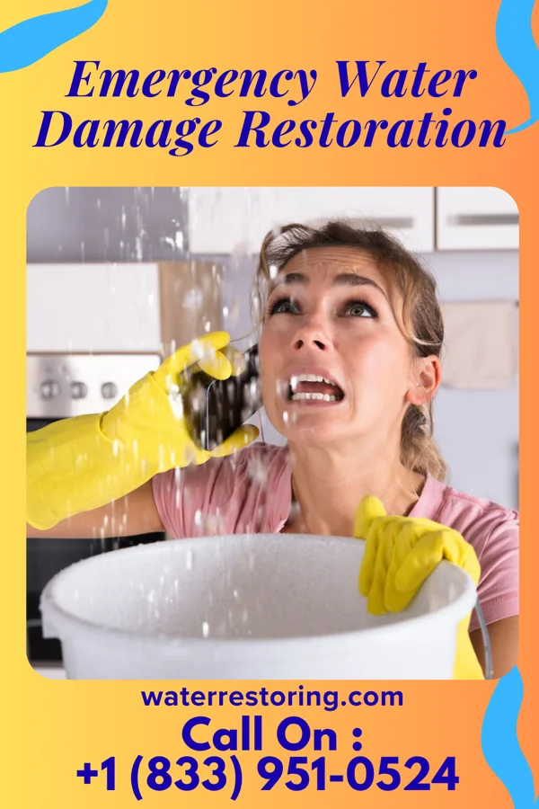 Emergency Water Damage Restoration in Belgium, IL