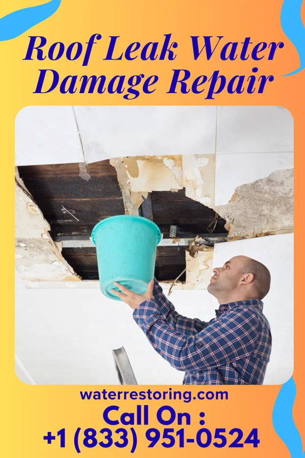 Roof Leak Water Damage Repair in Belgium, IL